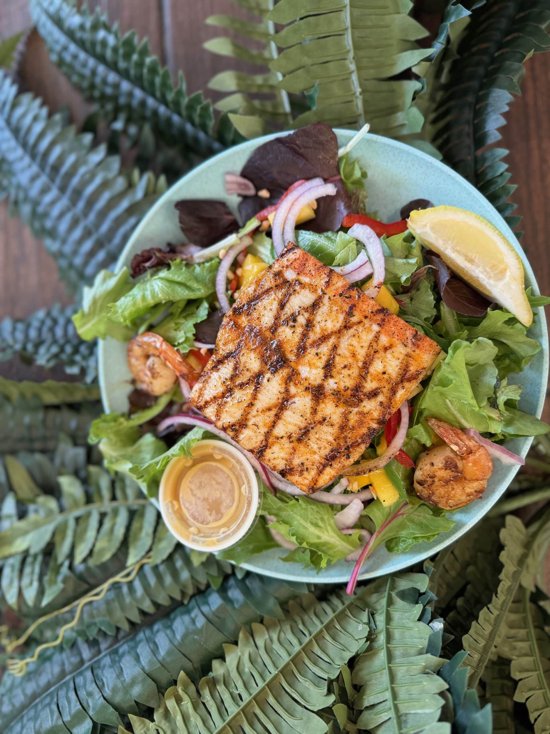 Coconuts Fish Cafe - Grilled Mahi-Mahi Salad